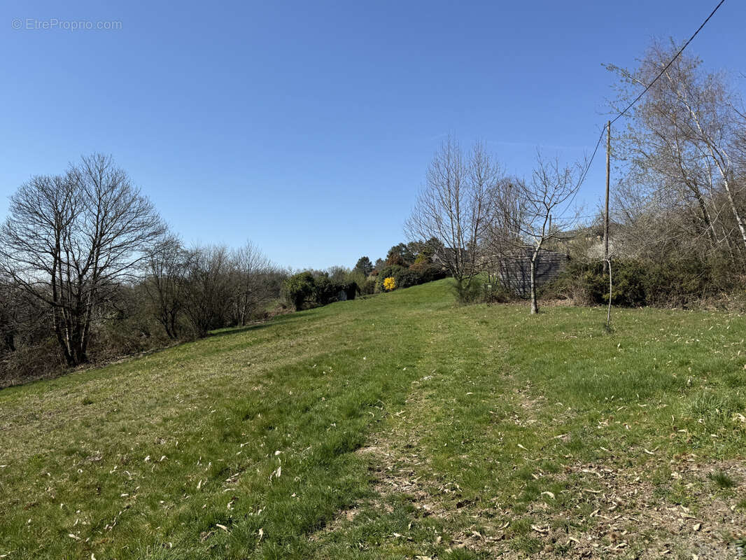 Propriete avec dependances et 11 ha de terrain - photo 23