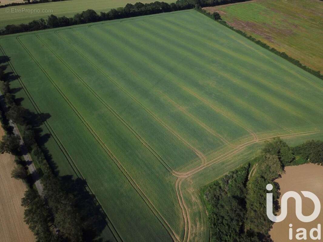 Photo 3 - Terrain à SAINT-MARTIN-L'ARS
