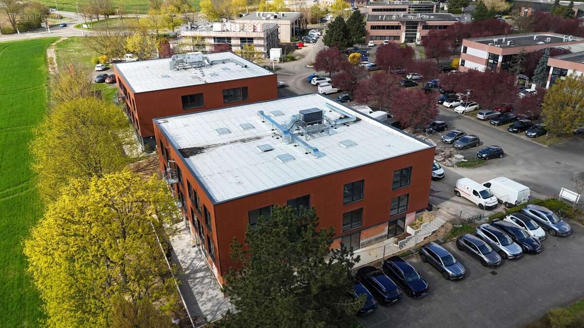 Commerce à OBERHAUSBERGEN