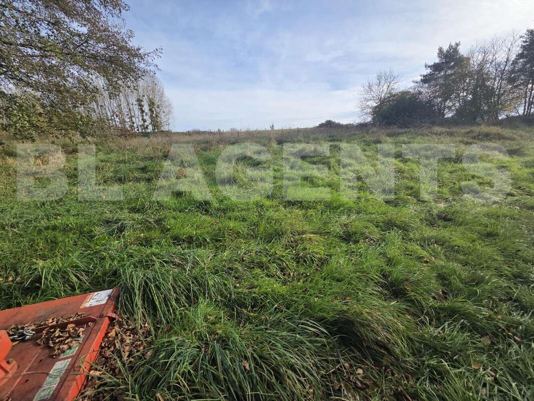 20251113_141956 - Terrain à CERANS-FOULLETOURTE