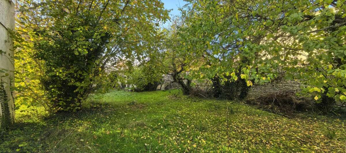 Photo 5 - Maison à VILLENEUVE-LA-COMTESSE