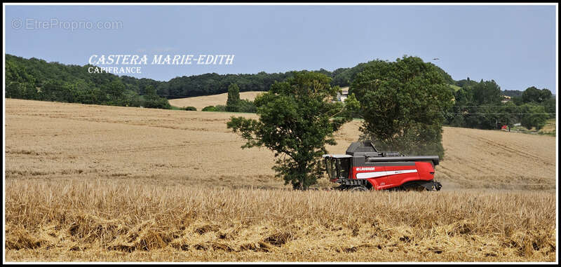 Dpt Gers (32), à vendre proche AUCH - propriété agricole - 145 Hectares avec LAC et 860 M² de bâtiments - photo 5