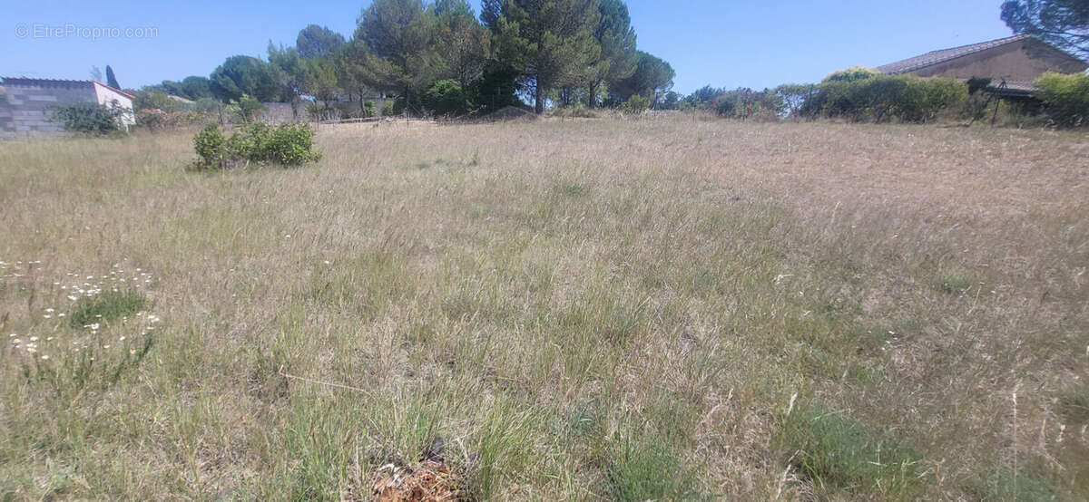Terrain viabilise villemoustaussou - photo 2