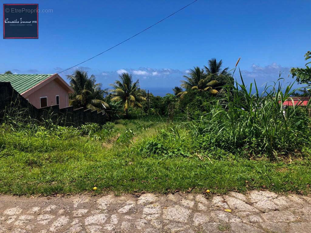 Terrain à bâtir de 1 316 m2 à vendre à Basse-Pointe - photo 3
