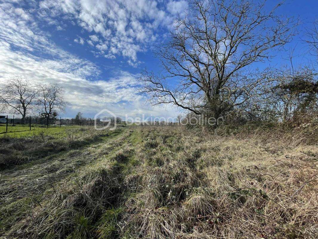 Terrain à LONGEVILLE-SUR-LA-LAINES