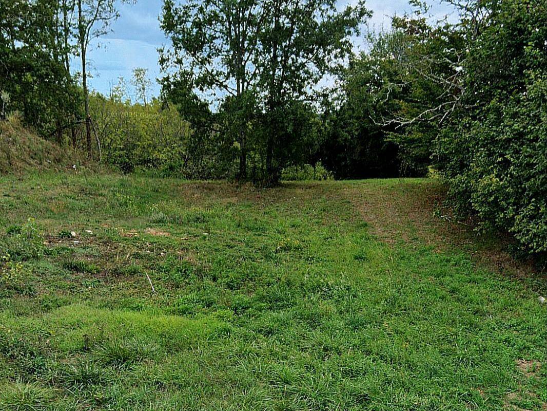 Terrain à SAINT-ANDRE-D'ALLAS