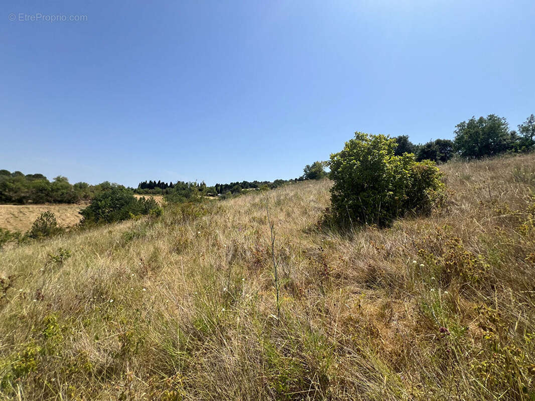 Terrain à bâtir Limoux 14700 m² - photo 5