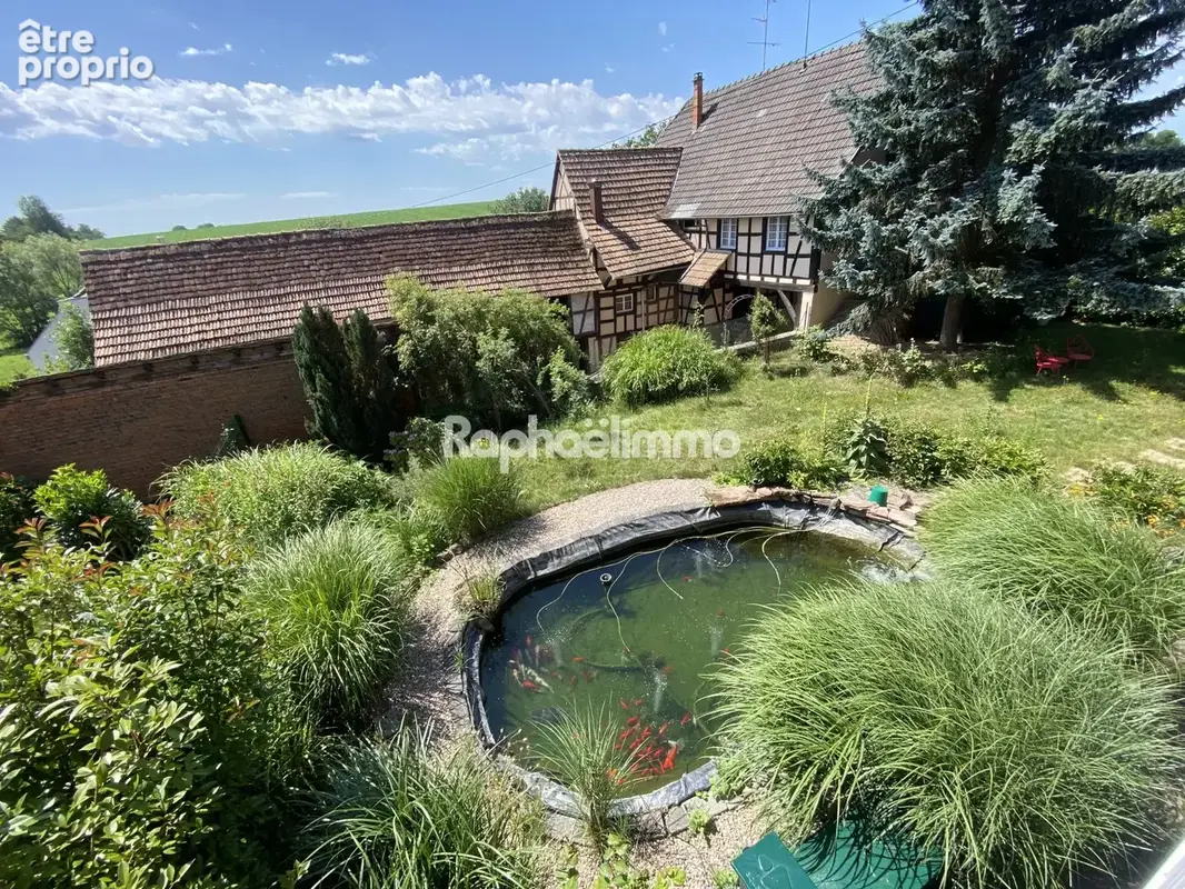 Maison 220 m² à Olwisheim  - photo 4
