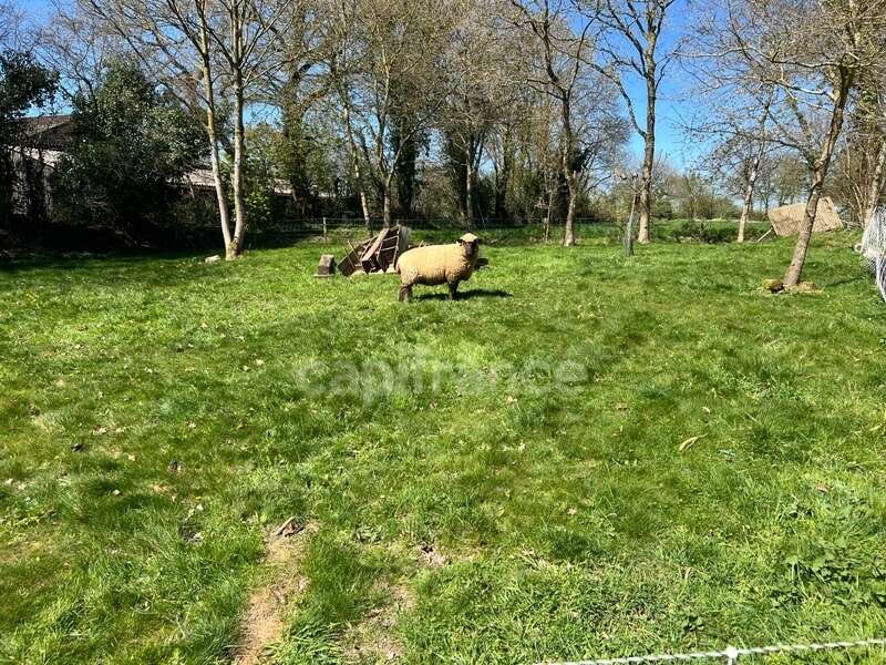 Maison à SAINT-MAYEUX