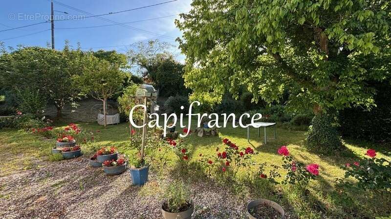 Maison à TAILLEBOURG