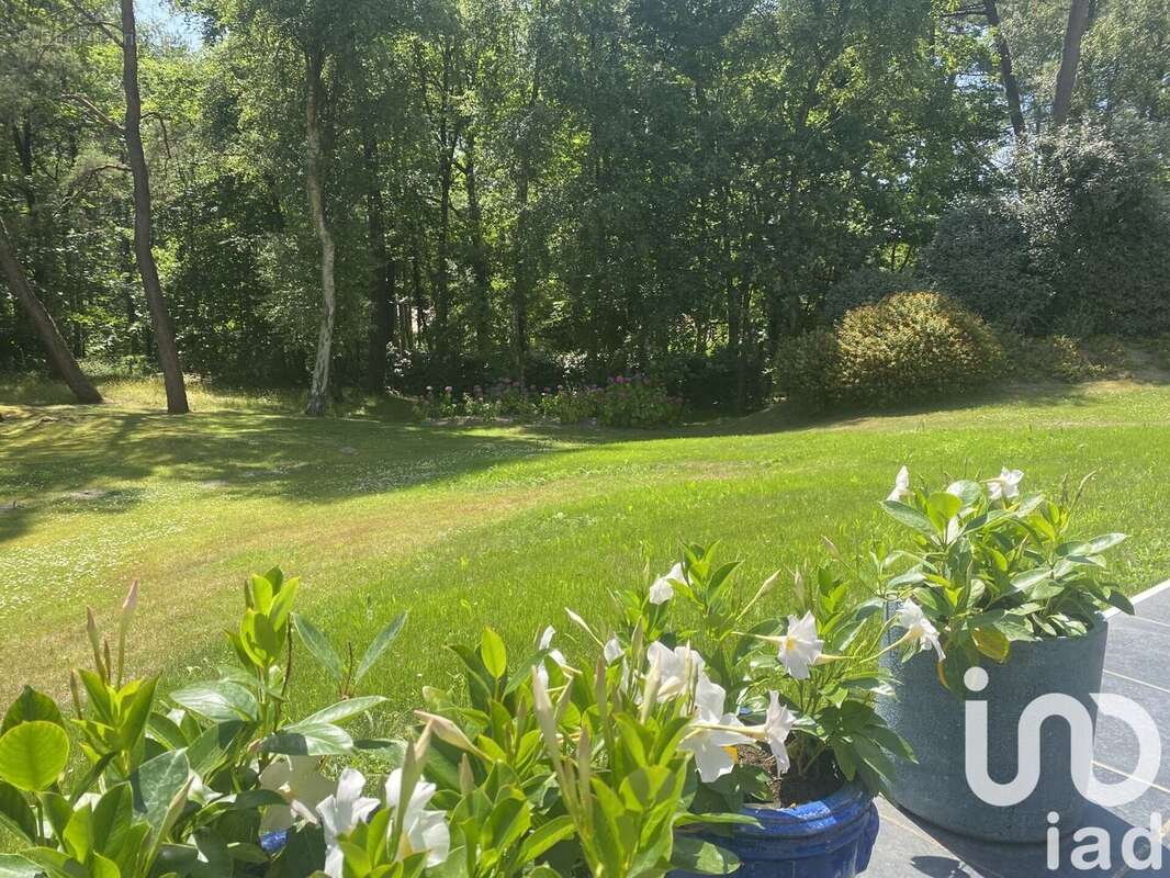 Photo 3 - Maison à LE TOUQUET-PARIS-PLAGE