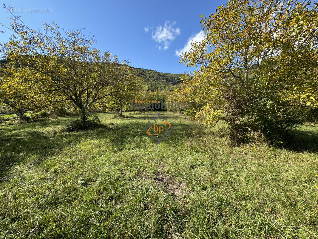 Vente terrain constructible avec maison de vigne Saint Affrique - photo 12