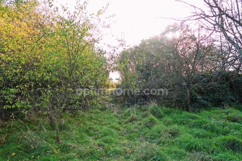 Terrain à VELAINE-SOUS-AMANCE