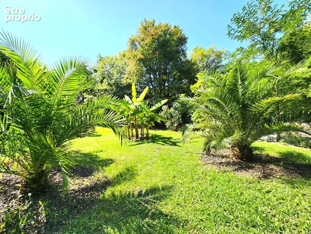 Ancienne Ferme Landaise 240 m2 - 2 logements - 3,7 hectares - photo 11