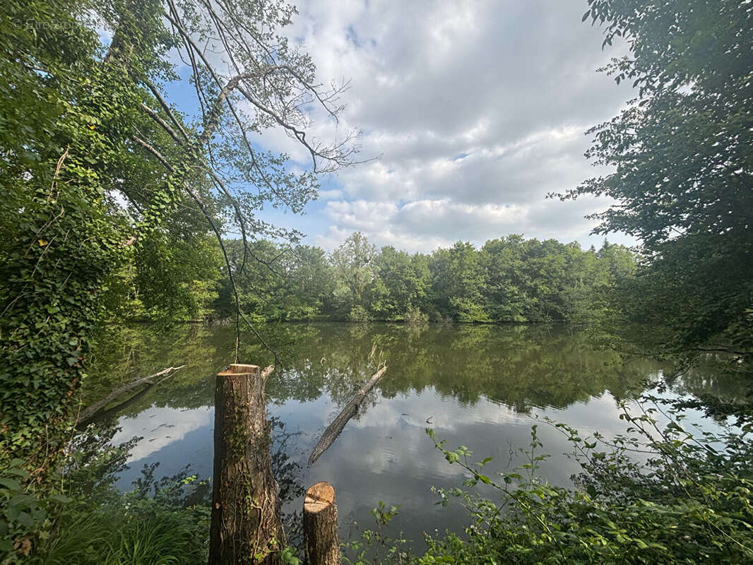 Terrain à BELLEFONDS