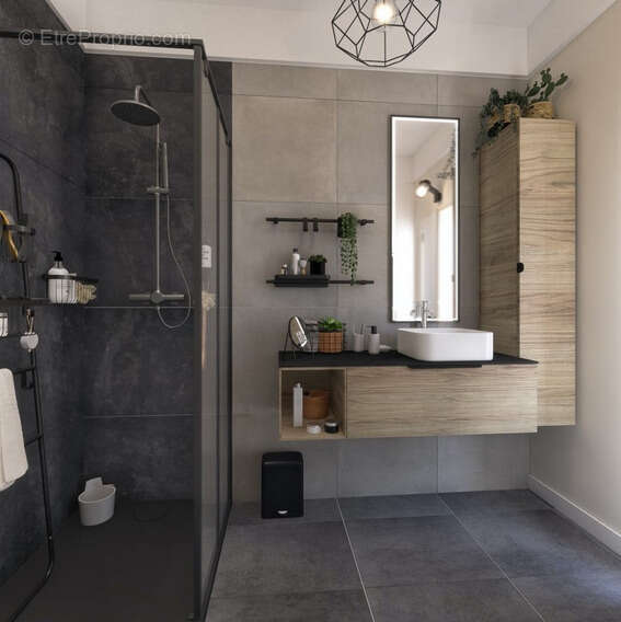 Appartement à TASSIN-LA-DEMI-LUNE