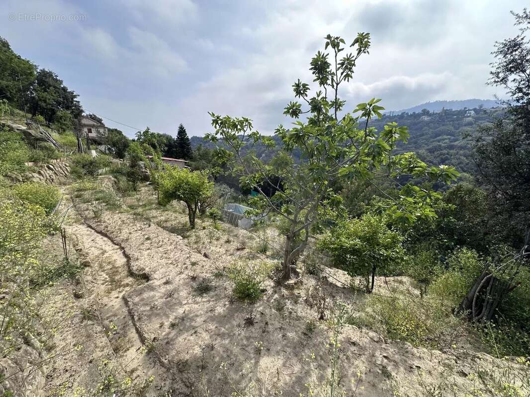 Terrain à MENTON
