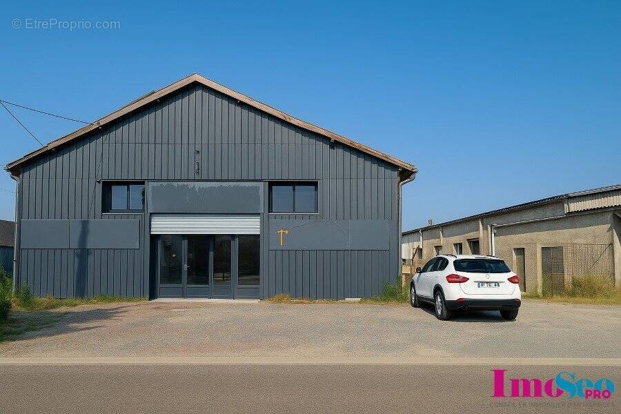 Commerce à SAINT-JEAN-D'ILLAC