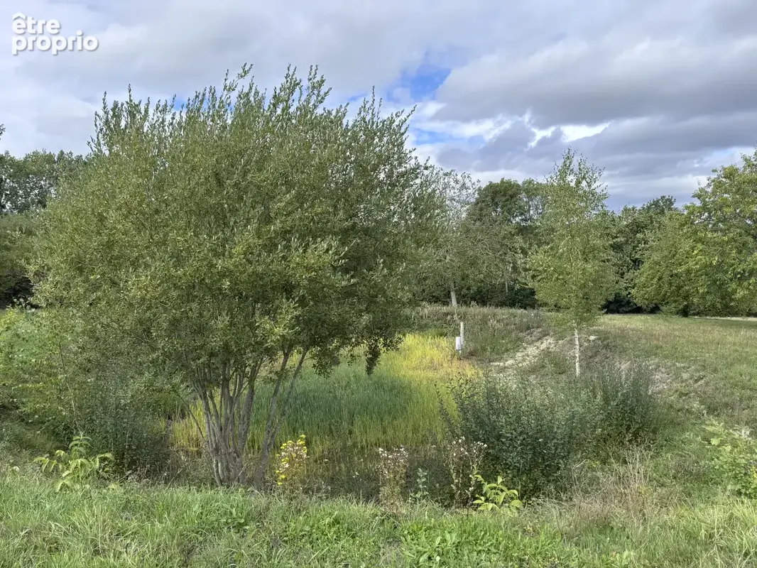 Bel ensemble à réhabiliter en habitation - Pressoir de 110m2 au sol et dépendance sur 7405m2 - photo 15