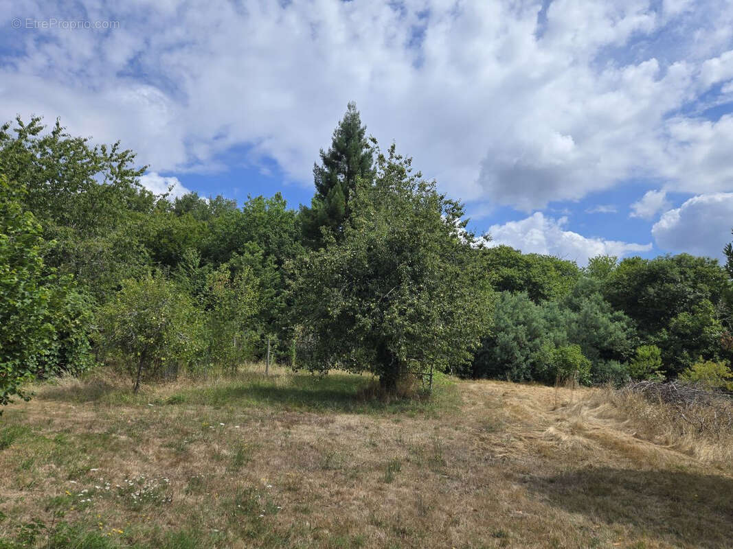 Maison à LAVEYSSIERE