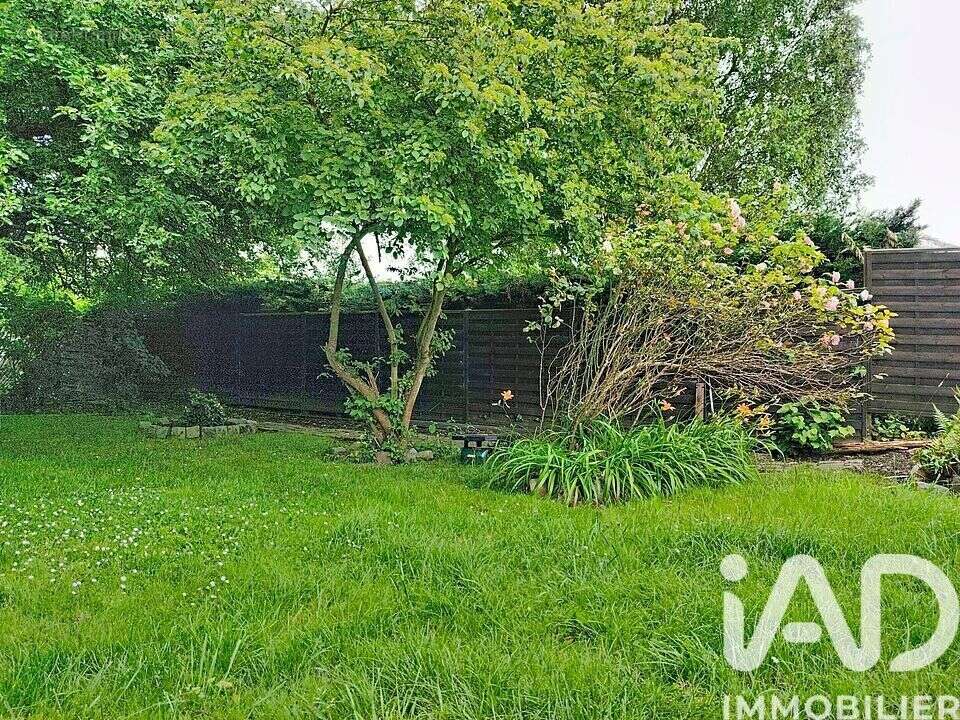 Photo 8 - Maison à NOYELLES-GODAULT