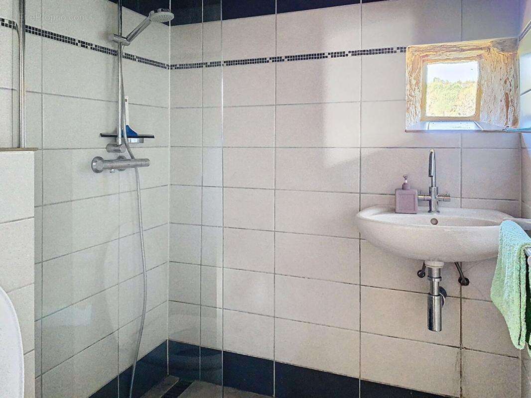 Maison à LE BUISSON-DE-CADOUIN