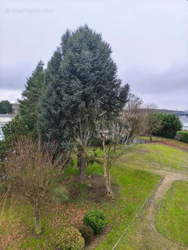 Appartement à JOUE-LES-TOURS