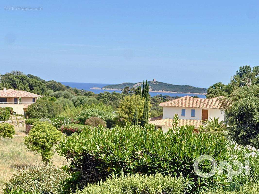 Maison à PORTO-VECCHIO