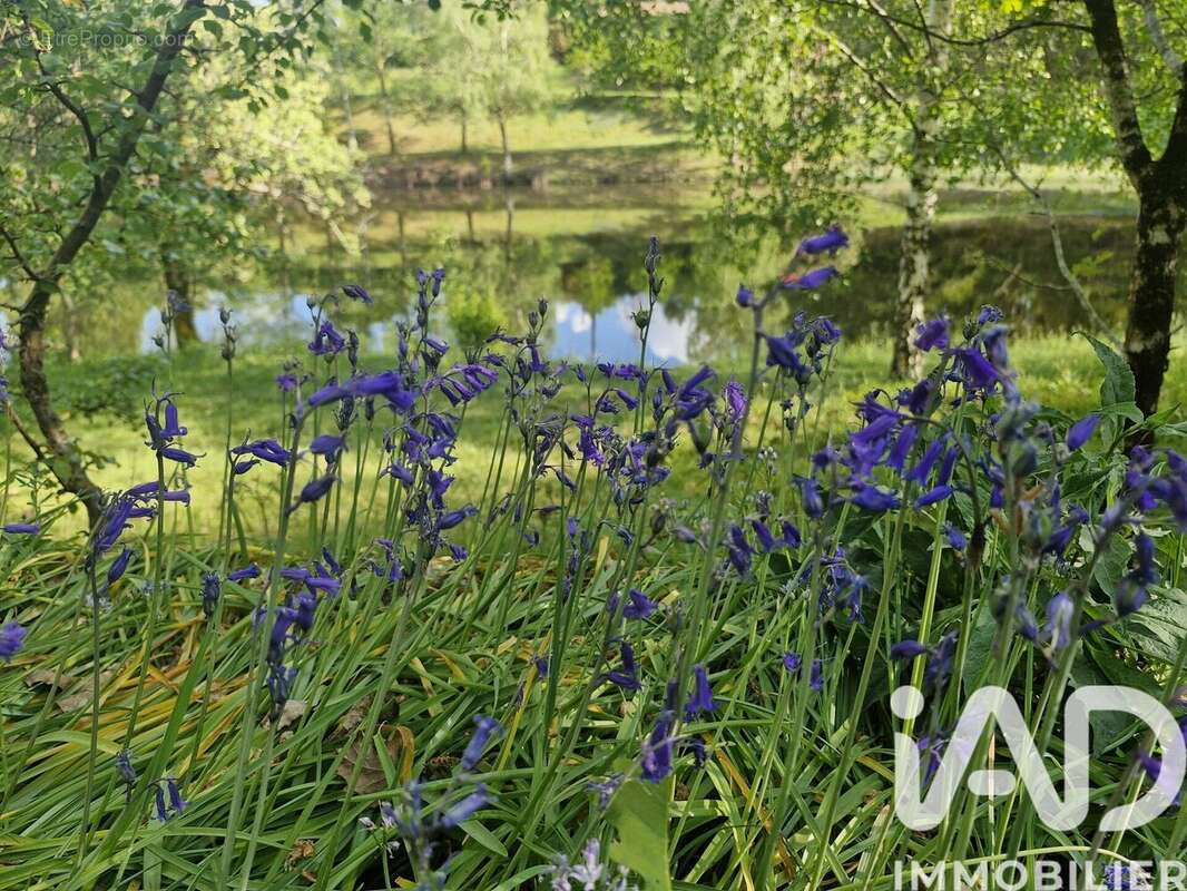 Photo 3 - Terrain à COGNAC-LA-FORET