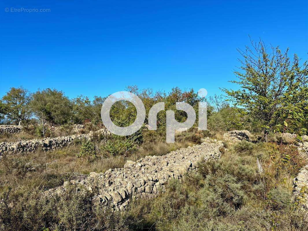Terrain non constructible - photo 2