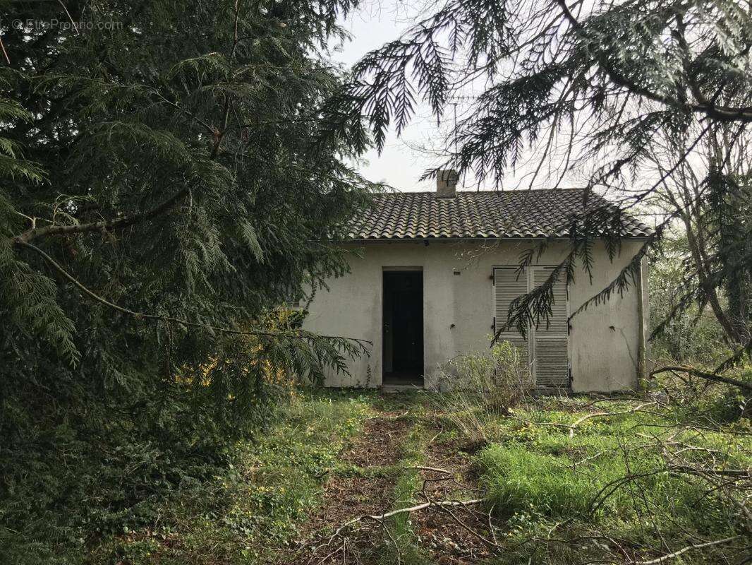 Appartement à VOUNEUIL-SOUS-BIARD