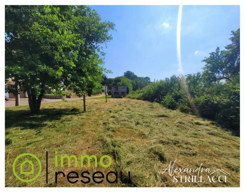 Maison 123 m² à Hombourg-Haut  - photo 18