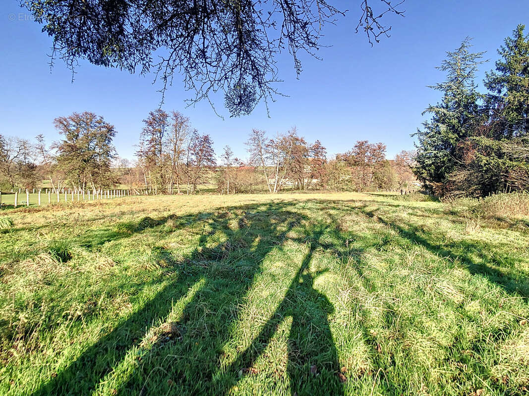 Terrain à COURTELEVANT