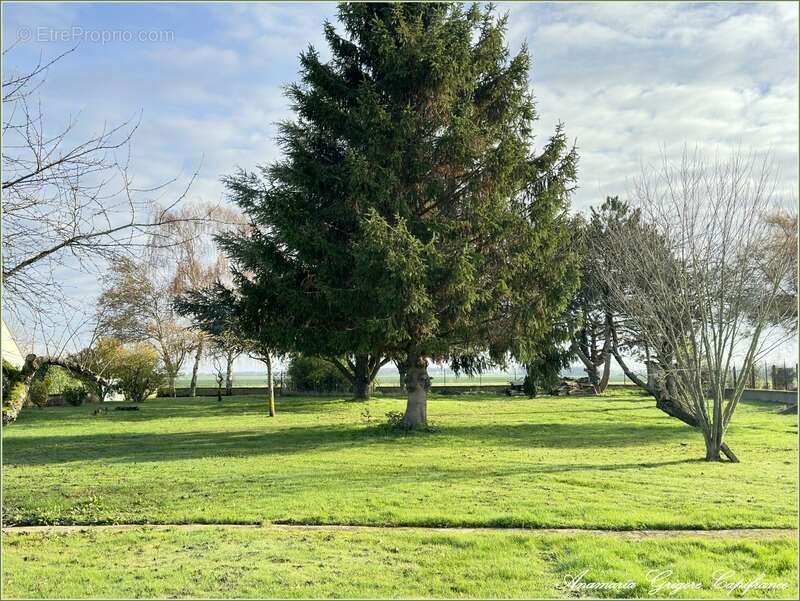 Maison à SAINT-GERMAIN-LE-GAILLARD