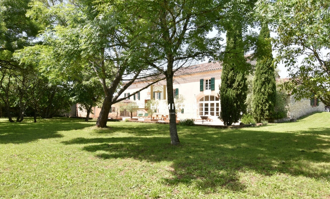 Maison à CORDES-SUR-CIEL
