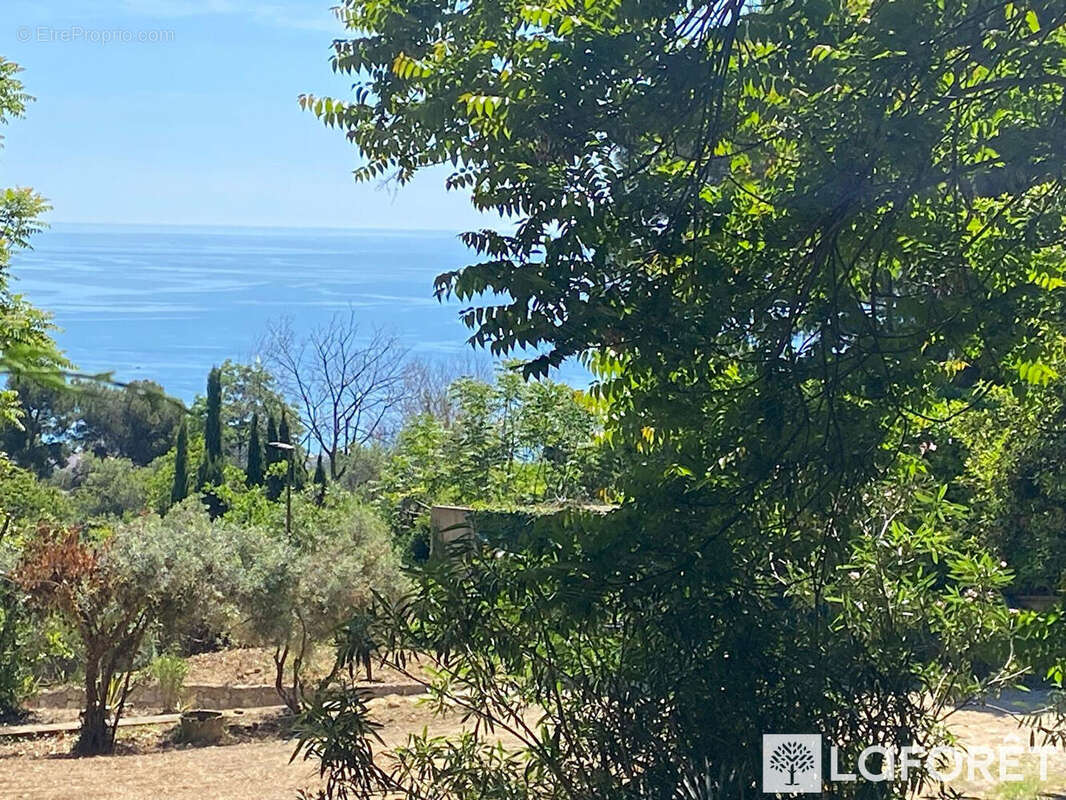 Terrain à ROQUEBRUNE-CAP-MARTIN