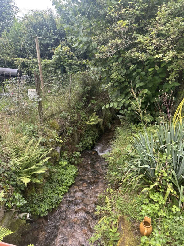 Maison à BAN-DE-LAVELINE