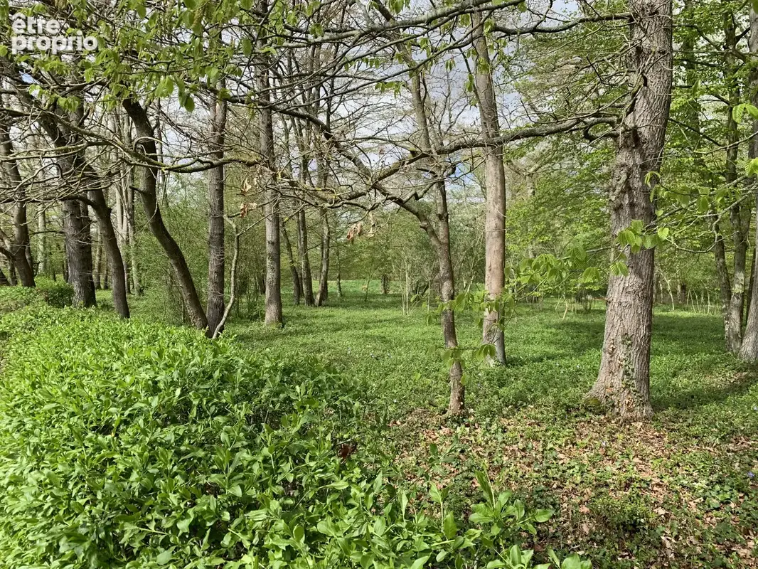 Magnifique terrain de loisirs arboré au bord de l'Eure ! à 2 mn d' Anet - photo 2