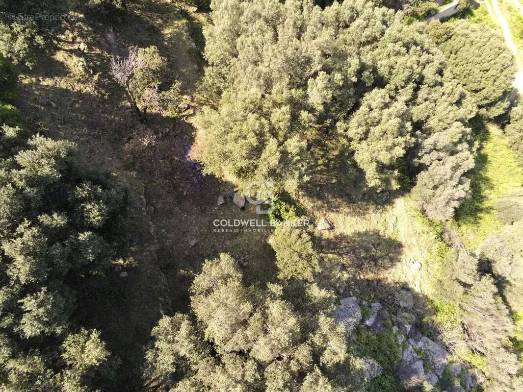 Terrain à MONTICELLO