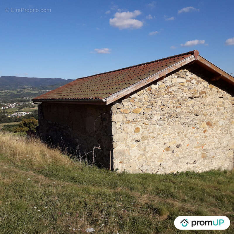 Terrain à AMBERT