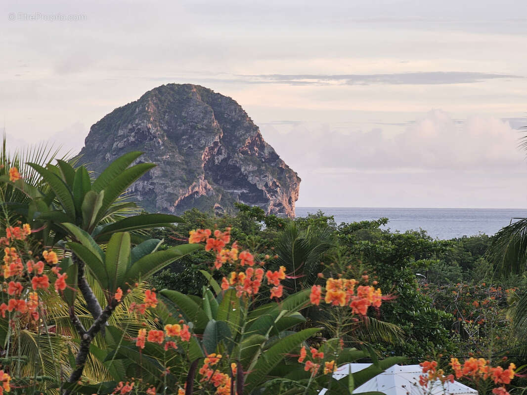 Maison à LE DIAMANT