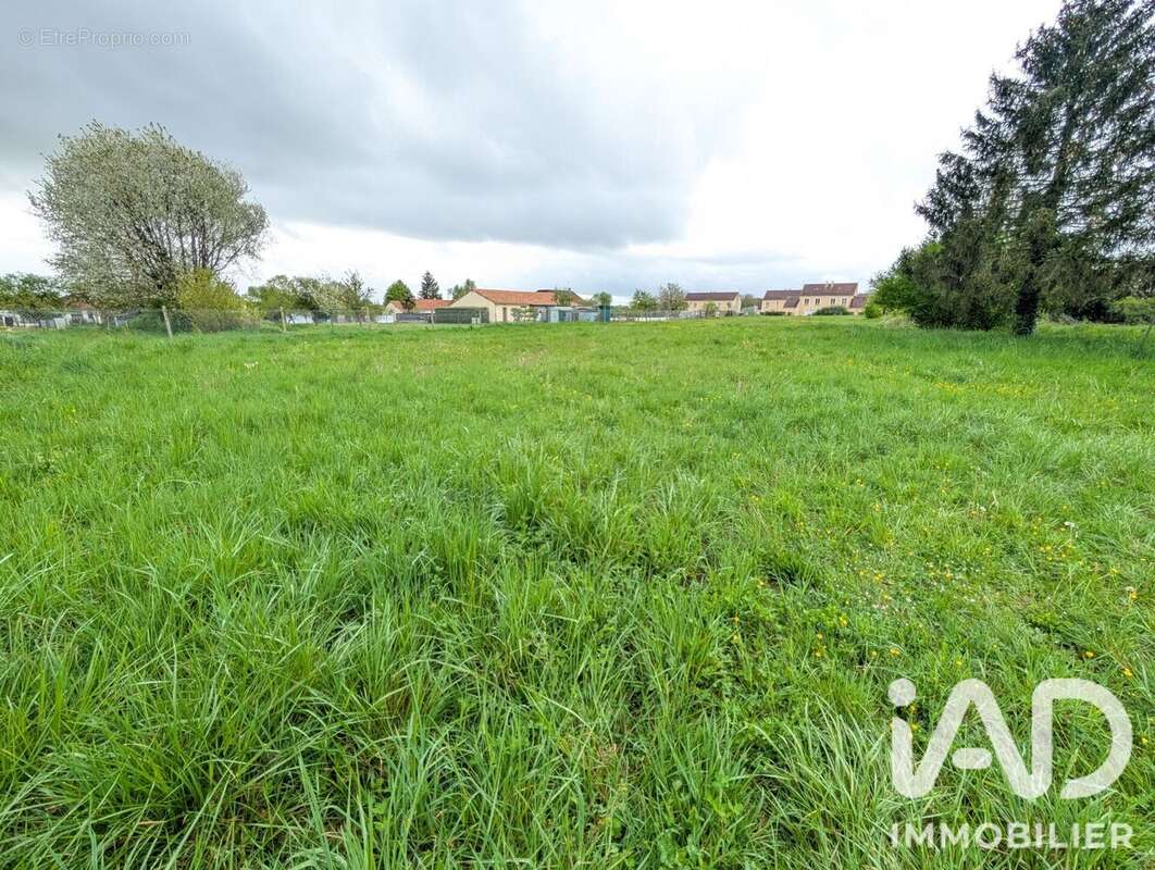 Terrain 4024 m² à Lussac-Les-Chateaux  - photo 4