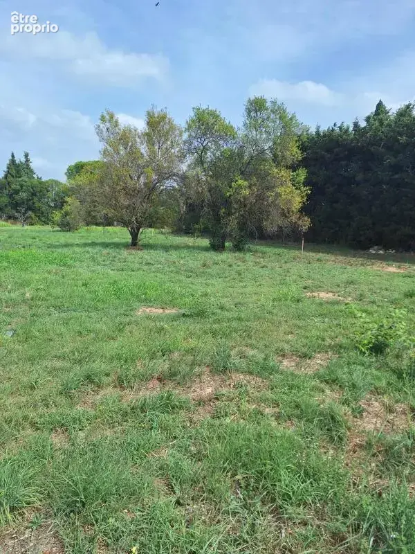 Photo Terrain à Fontvieille au prix de 185 000€
