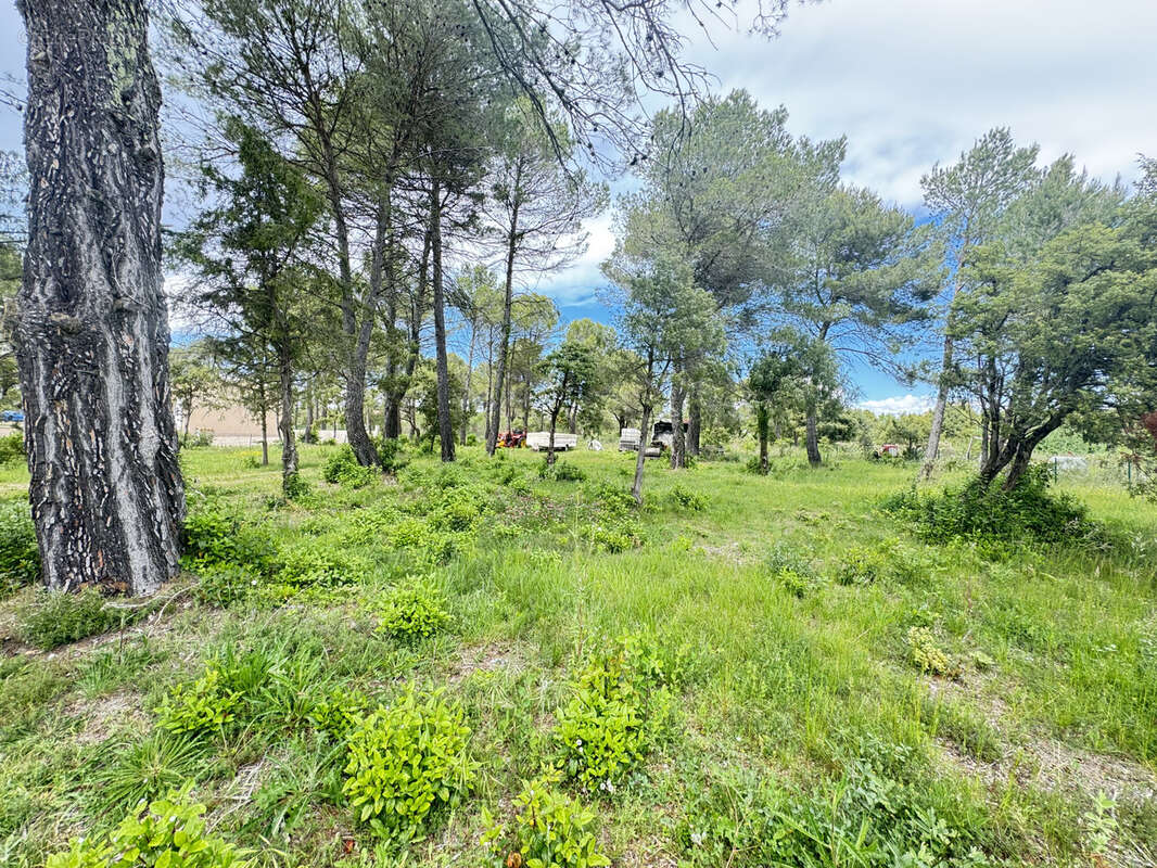 Terrain à FOX-AMPHOUX