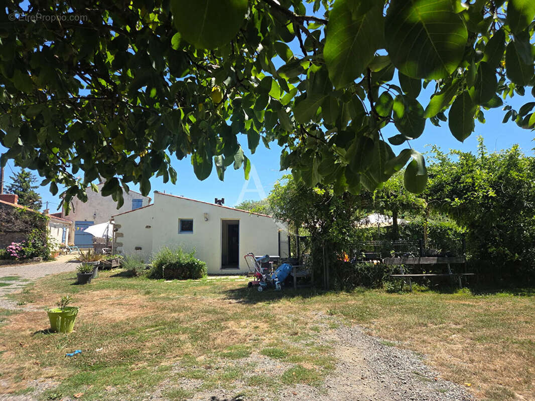 Maison à SAINT-VINCENT-SUR-GRAON