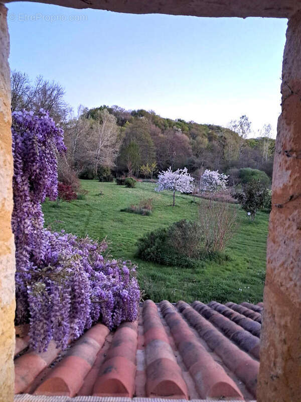 Charente. Moulin en Pierre pour Amoureux de la Nature, 8 ha, Ruisseau, Etang, Maison d'Amis, Bois - photo 15