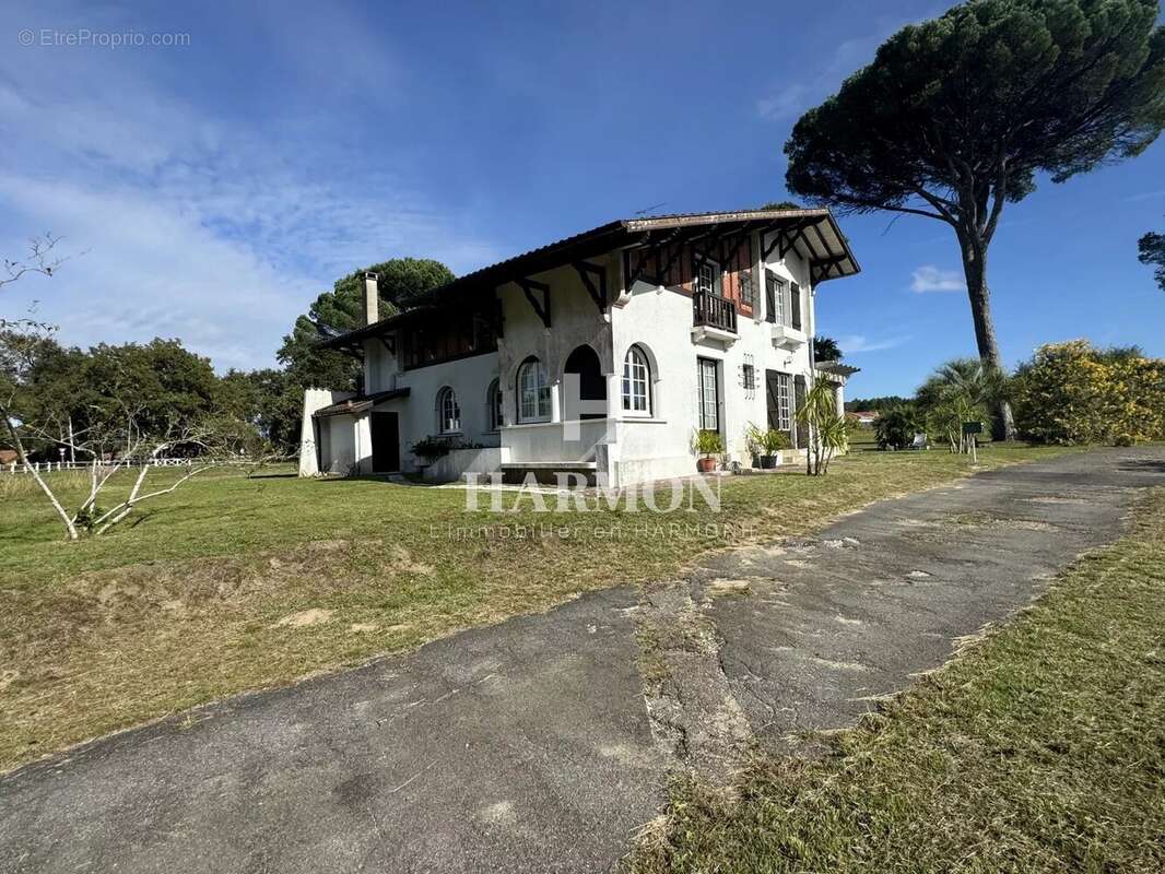 Harmon a vendre : propriété a Magescq - photo 13