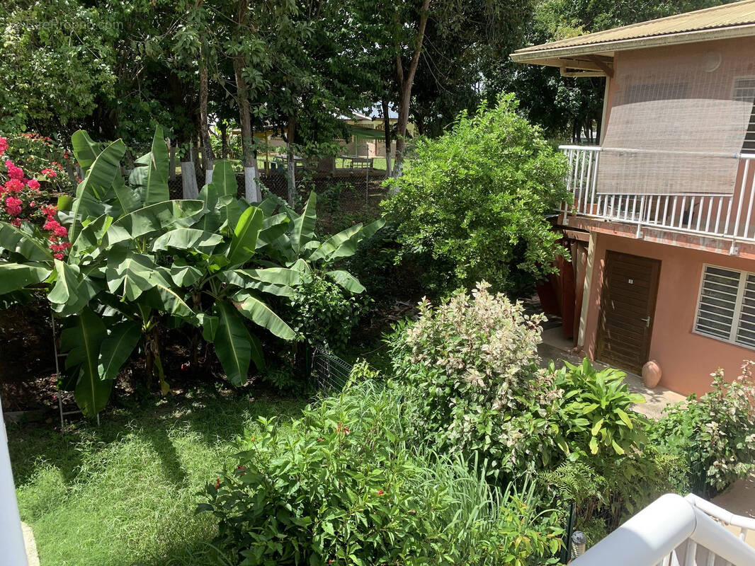 Appartement à CAYENNE