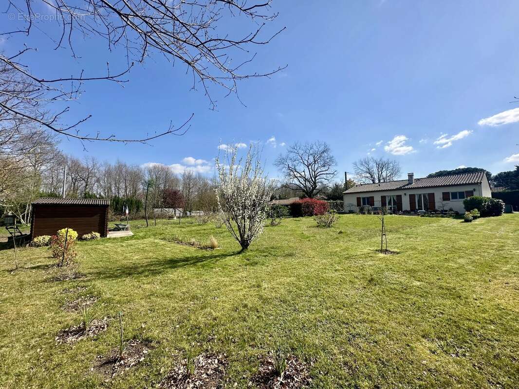 Maison à PUYSSERAMPION