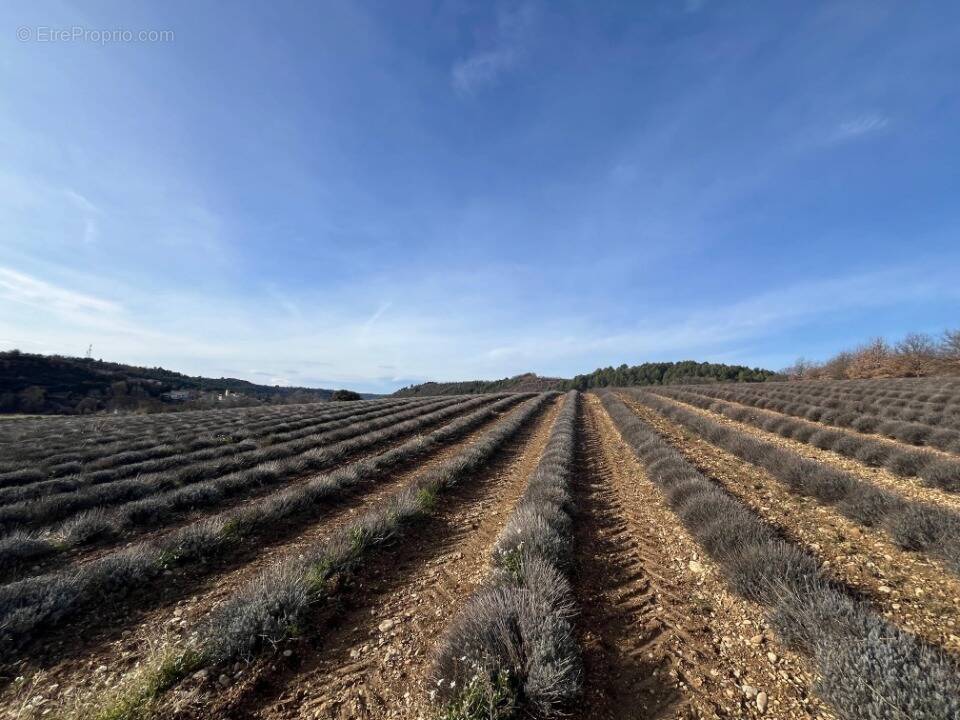 Terrain à ROUMOULES
